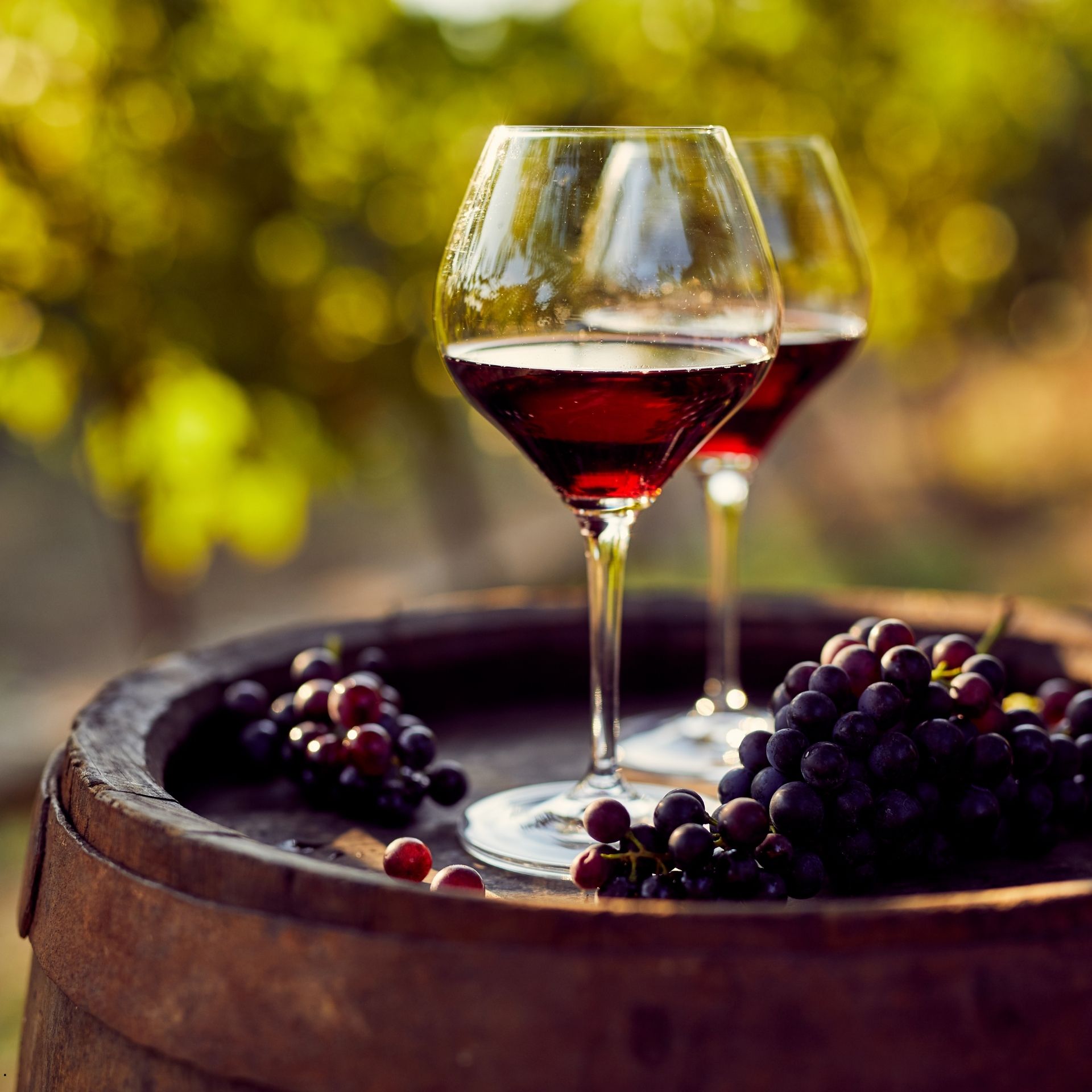 Aperitivo
